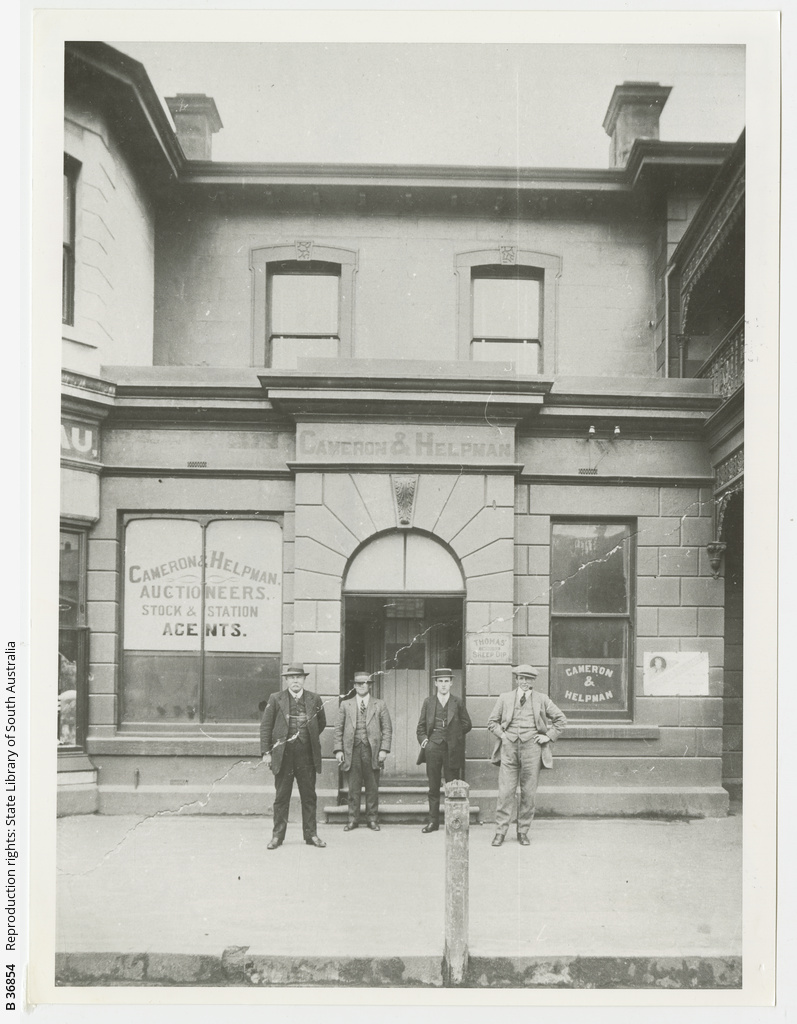 Auctioneers, Mt.Gambier • Photograph • State Library of South Australia