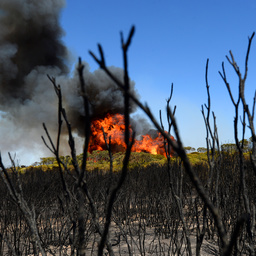 Kangaroo Island bushfire