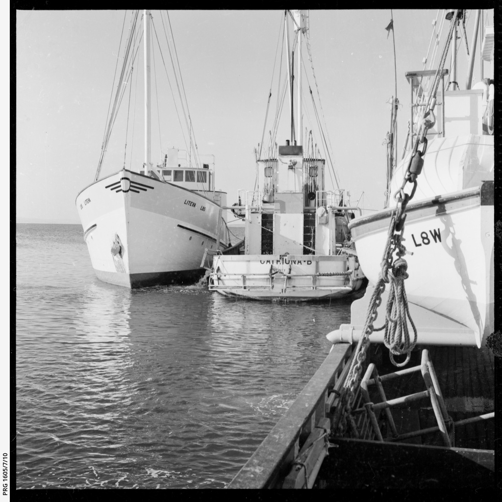 Shipping at wharf, Port Lincoln CatrionaB boat • Photograph • State