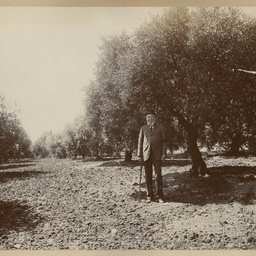 Robert Davenport family album