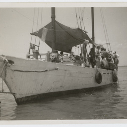 Colin James Ellis, World War II photograph album, Darwin.