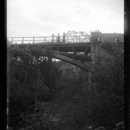 Collection of photographs taken around Adelaide by Theo Bachmann