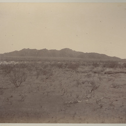 View from Camp 15