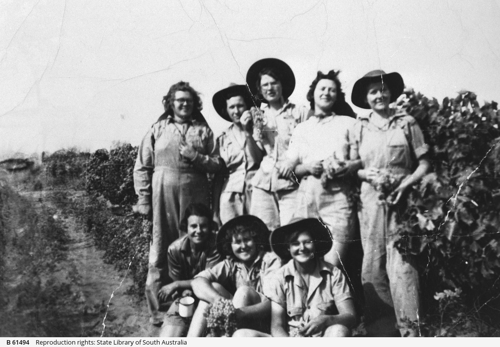 Women's Land Army girls at Renmark • Photograph • State Library of