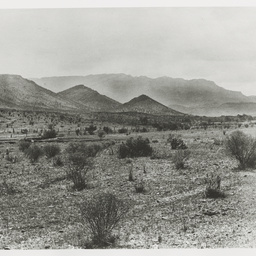 Selected photos taken by Henry Hammond Tilbrook