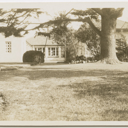 Mount William Station, Victoria