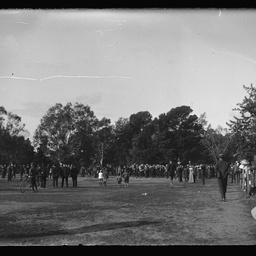 Collection of photographs taken around Adelaide by Theo Bachmann