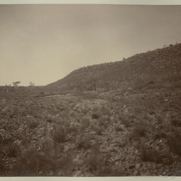 The Elder Scientific Exploration Expedition 1891-2: photographs