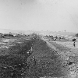 Happy Valley Reservoir : Main embankment