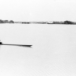 Rowers at Tailem Bend