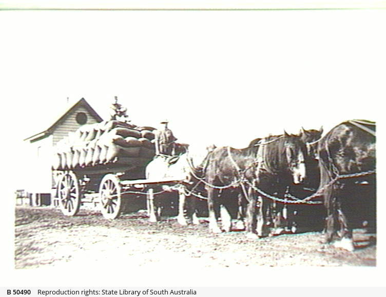 Wheat wagon, Willochra • Photograph • State Library of South Australia