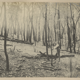 Robert Davenport family album