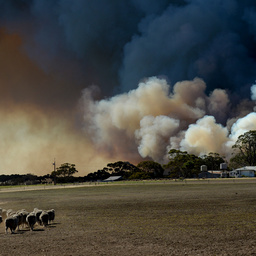 Kangaroo Island bushfire