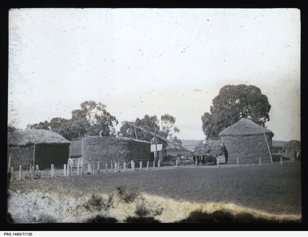 Cowell and Franklin Harbour, Eyre Peninsula • Photograph • State Library of South Australia