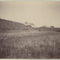 Valley and Creek