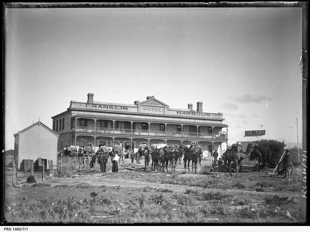 Cowell and Franklin Harbour, Eyre Peninsula • Photograph • State Library of South Australia
