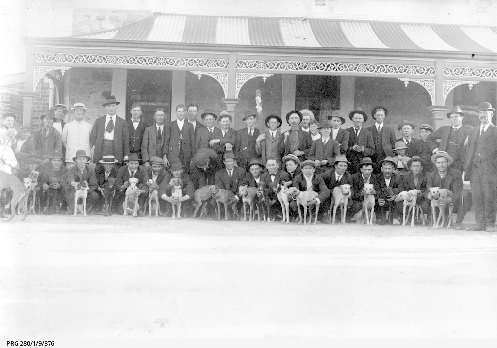 Dog Racing Enthusiasts Photograph State Library Of South Australia dog-racing-enthusiasts-photograph-state-library-of-south-australia