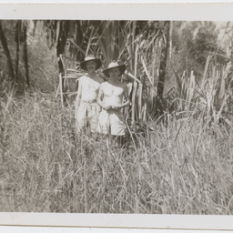 Colin James Ellis, World War II photograph album, Darwin.