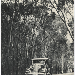 Scenes of South Australia