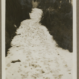 Mt Wellington, Tasmania