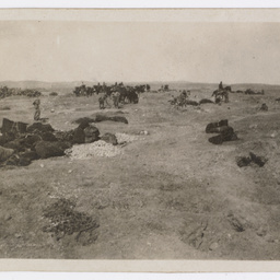 Grain dump at Beersheba.
