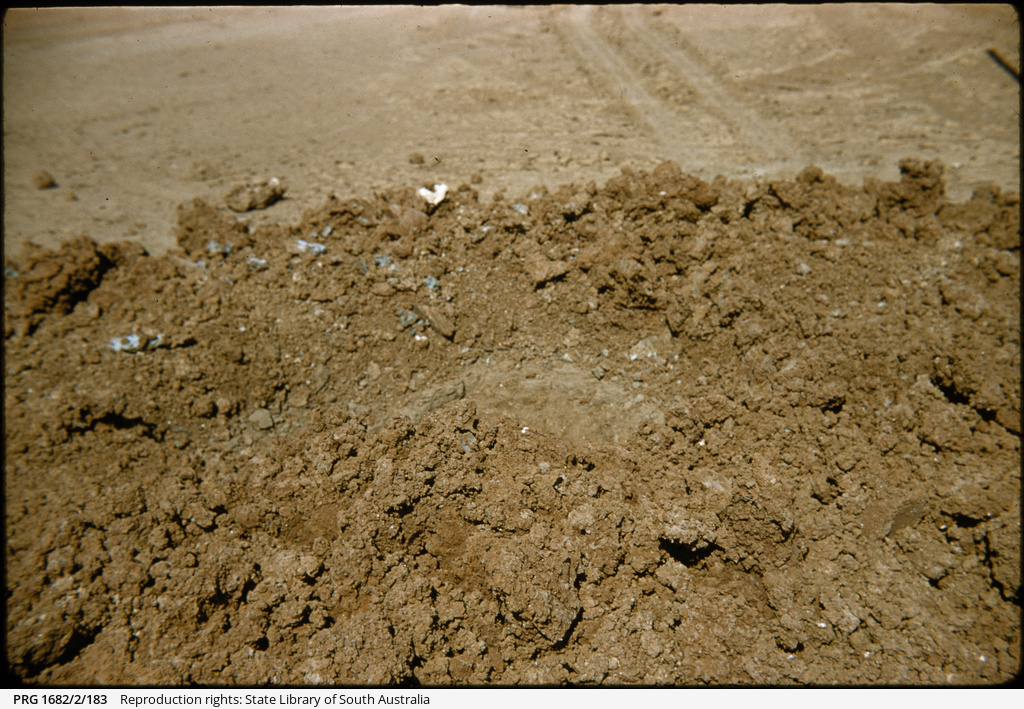 Salt harvesting and quarrying in South Australia • Photograph • State