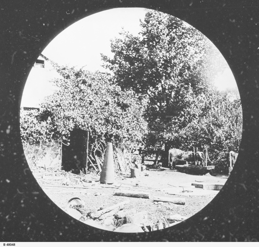 Farmyard, Hahndorf • Photograph • State Library of South Australia
