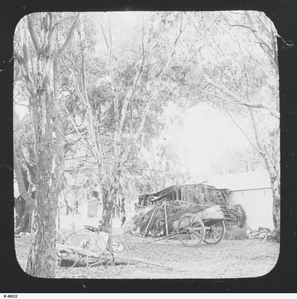 Henley Beach • Photograph • State Library of South Australia