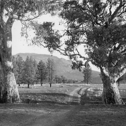Wilpena Pound
