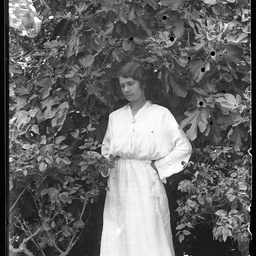 Collection of photographs taken around Adelaide by Theo Bachmann