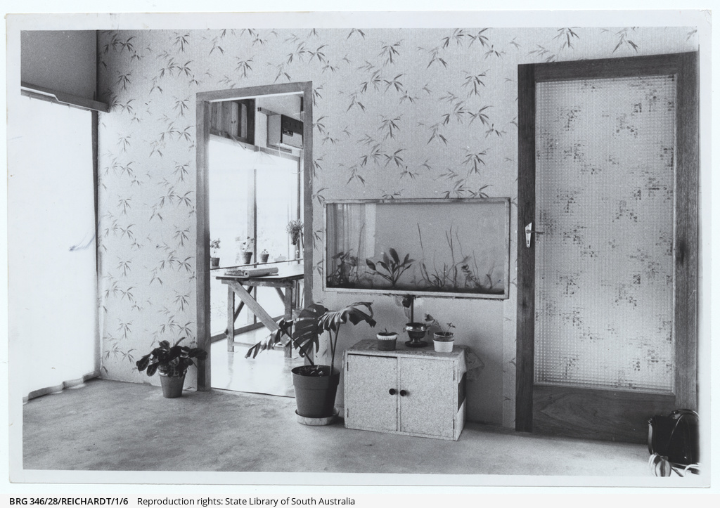 House at Grand Junction Road, Hope Valley • Photograph • State Library of South Australia
