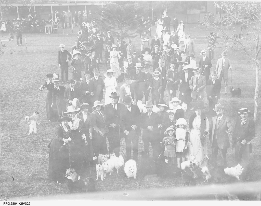 Adelaide dog show • Photograph • State Library of South Australia