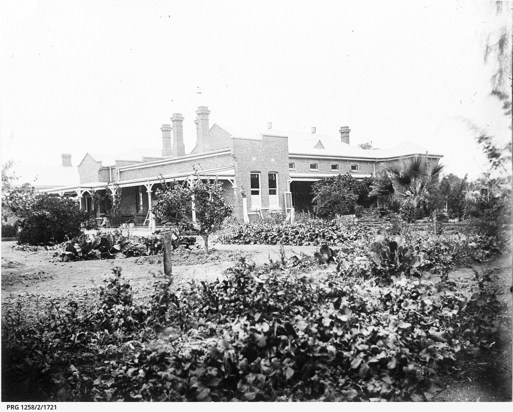 Murray Downs Station Homestead • Photograph • State Library of South