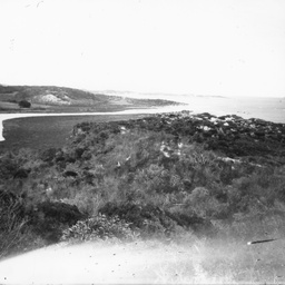 Coastal scene