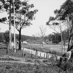 Forest Range, Mount Lofty Range