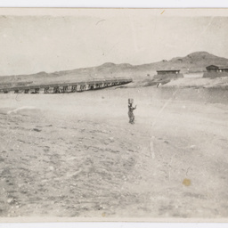 Man near a bridge.