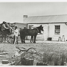 Selected photos taken by Henry Hammond Tilbrook