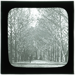 Development of Adelaide 1839-1914: series of lantern slides.