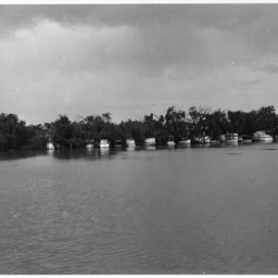 View across the Murray River