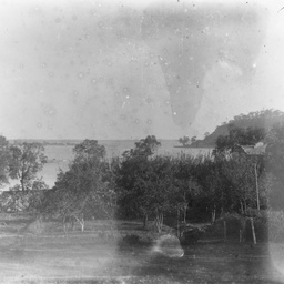 Bush scene