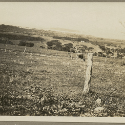 Photograph album of South Australian and interstate scenes