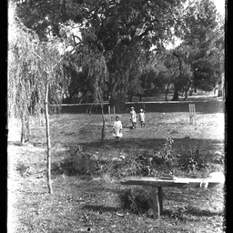 Collection of photographs taken around Adelaide by Theo Bachmann