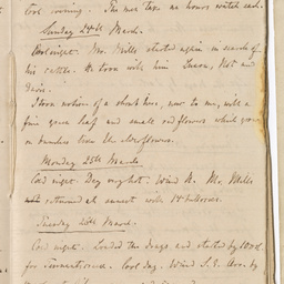 Handwritten diary of Dr Renner.