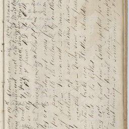 Diary of Charles Johnston