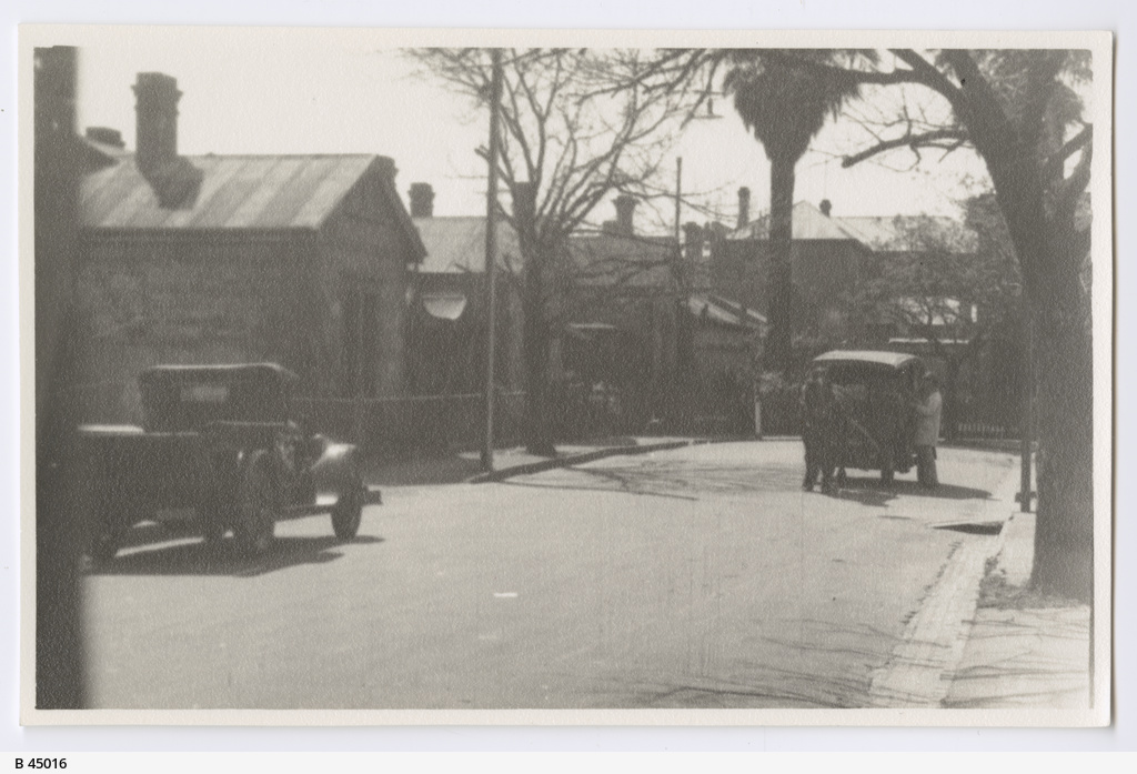 Ruthven Avenue • Photograph • State Library of South Australia