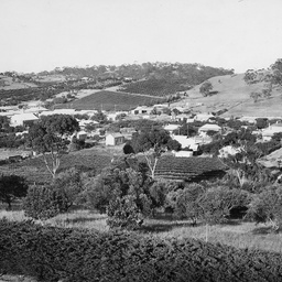 Angaston