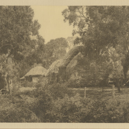 'The barn yard'