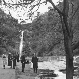 Waterfall Gully Reserve