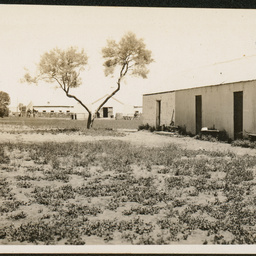 Coondambo huts and woolshed