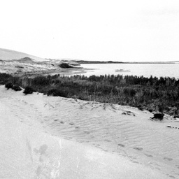 Sand dunes on Younghusband Peninsula